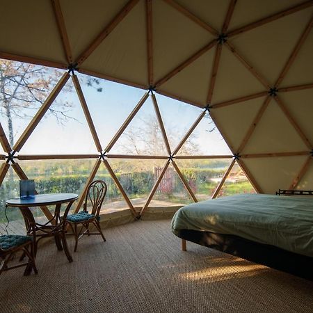 Вілла Dome Avec Vue Sur Loire Proche De Chambord Saint-Dye-sur-Loire Екстер'єр фото
